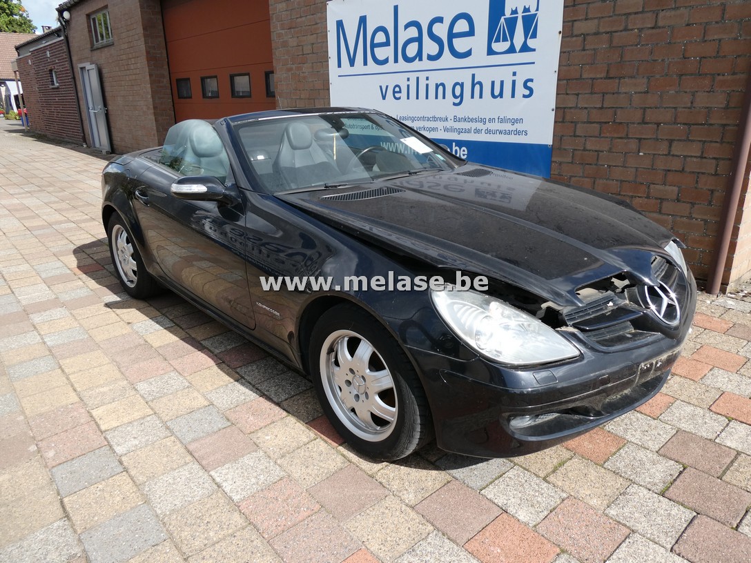 Wit-groene loten 31/10/2025