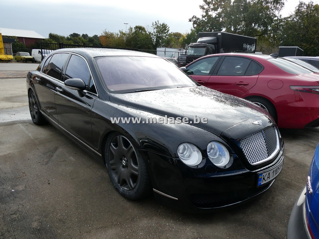 Wit-bruine loten 31/10/2025