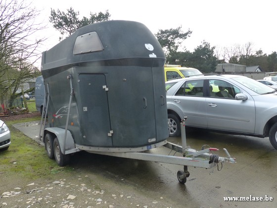Paardentrailer "Sluis Trailers"