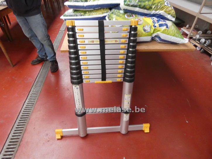 Telescopische ladder
