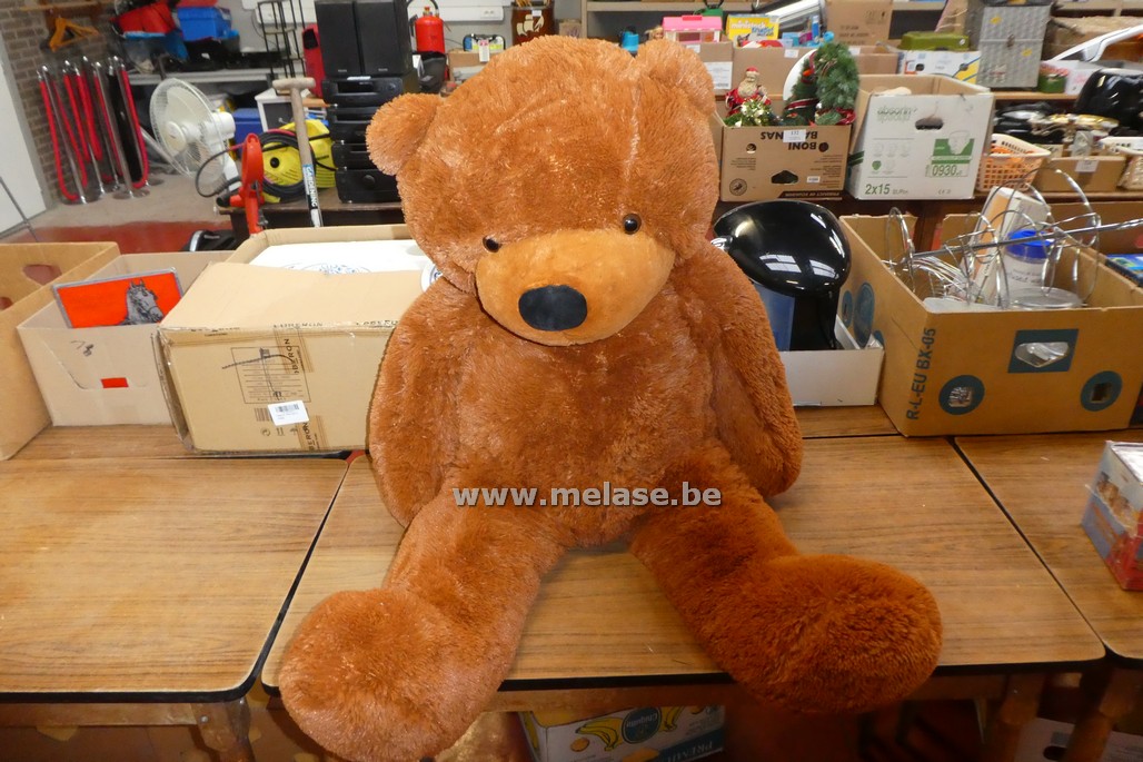 Grote knuffelbeer