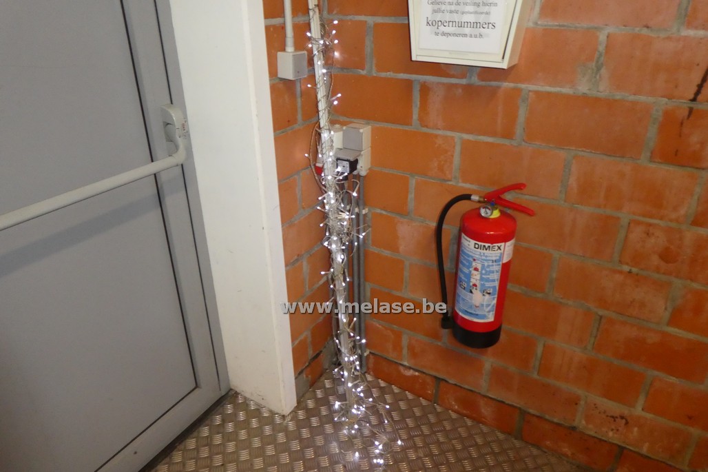 Kerstvaria 
