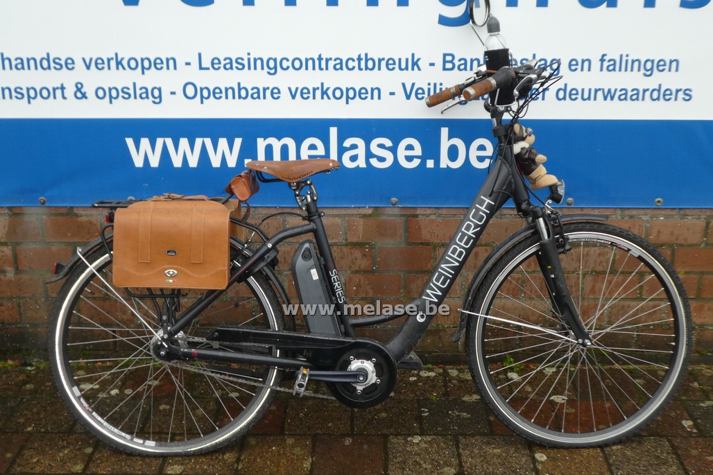 Elec. fiets "Weinbergh eSeries"