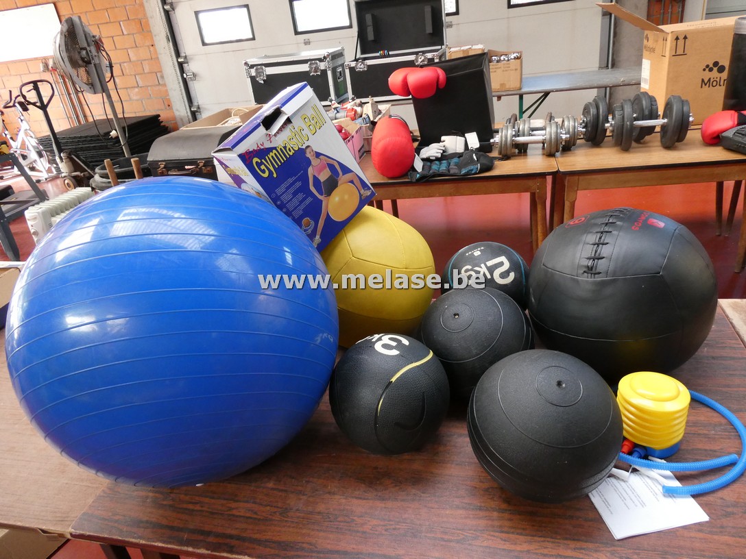 Diverse (fitness)ballen + pomp