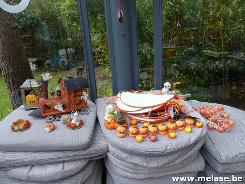 Lot decoratievaria "Halloween"