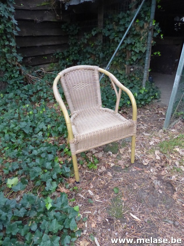 Stoelen "Rotan - beige"