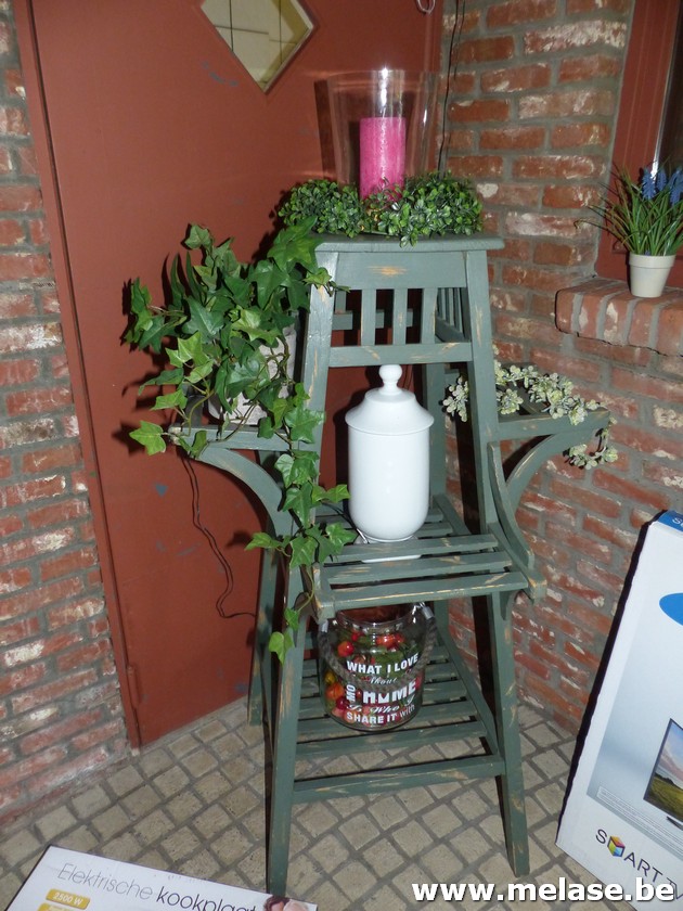 Plantenstaander + decoratie