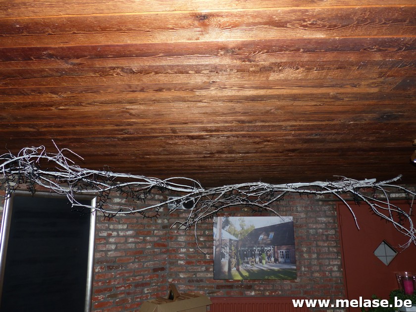 Plafond/sfeerverlichting