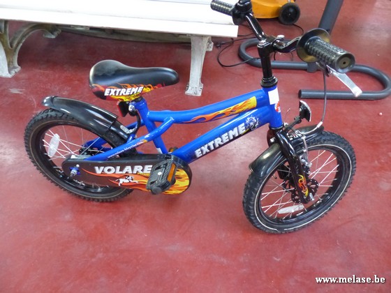 Kindermountainbike "Extreme"