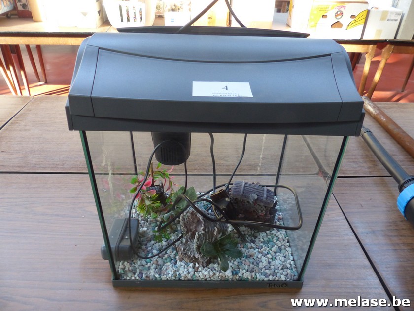 Aquarium "Tetra"