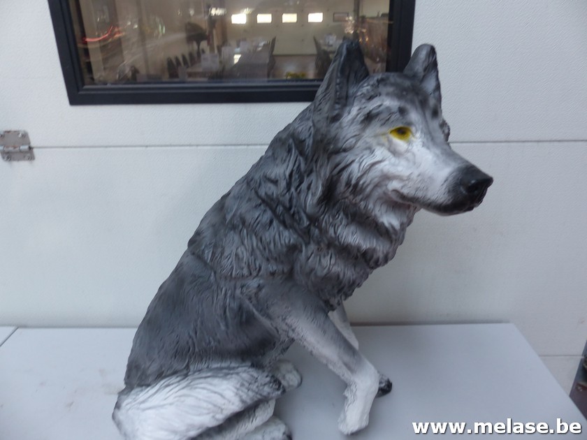 Beeld "grijze hond"