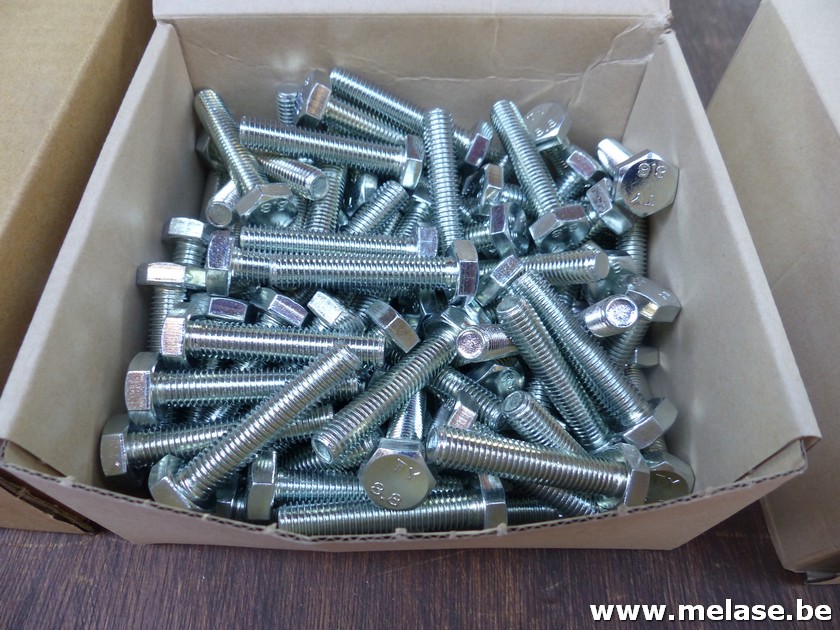 Zeskantbouten "M10x50"