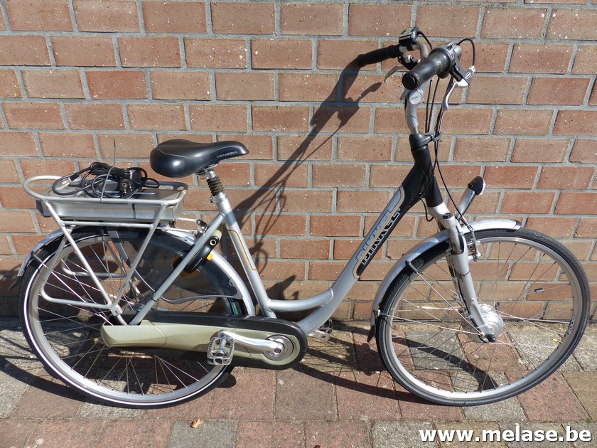 Electrische damesfiets "Bikkel"