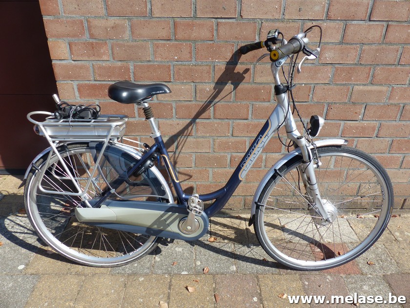 Electrische damesfiets "Bikkel"