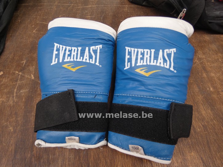 Bokshandschoenen "Everlast"