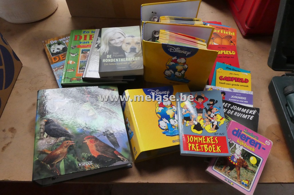 Doos strips & boeken