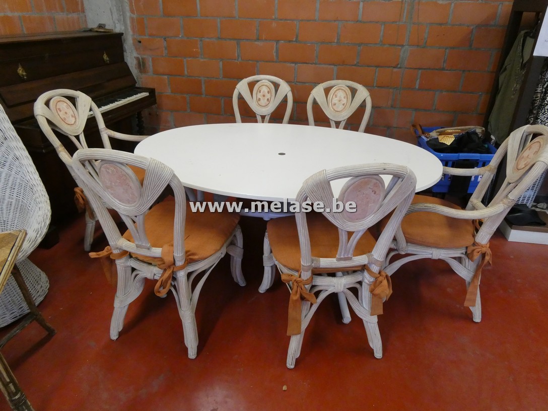 Ovale tafel + rotan stoelen