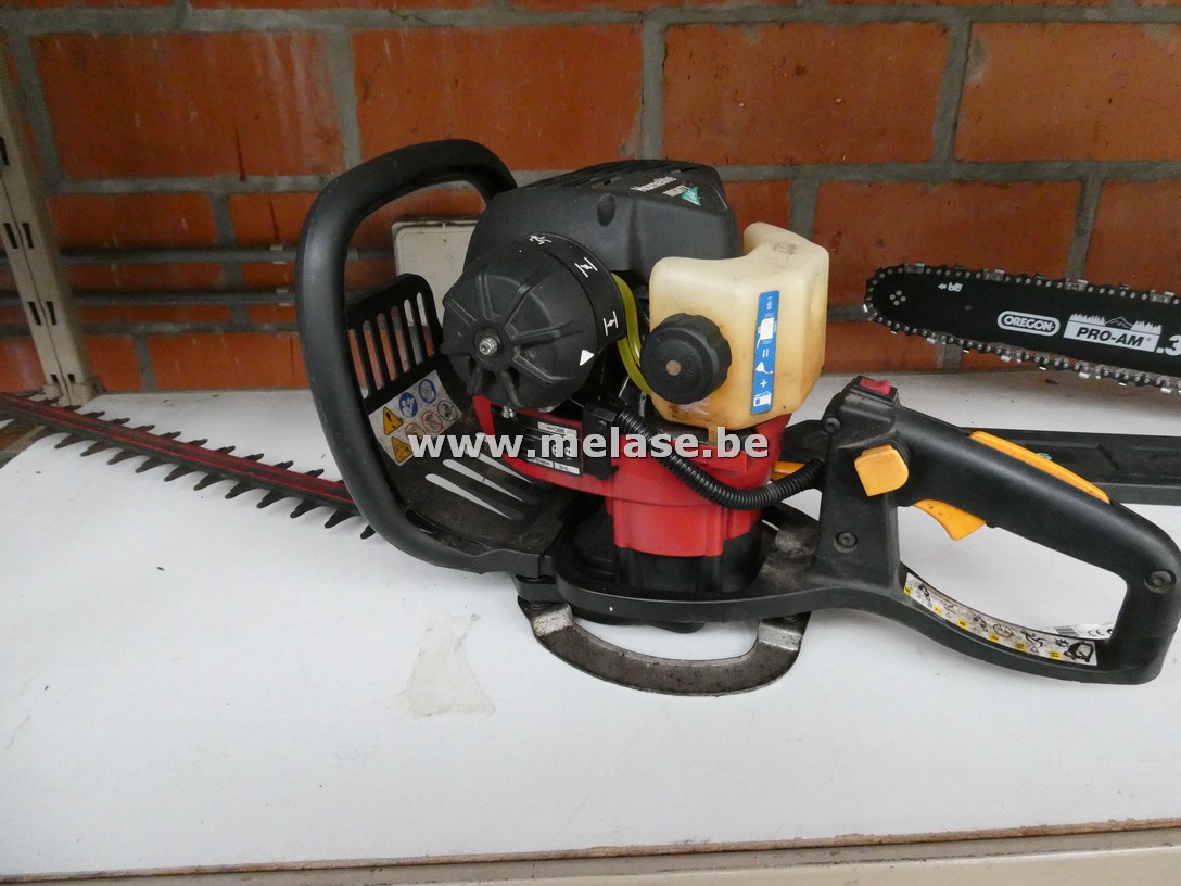 Haagschaar "Homelight Mighty"