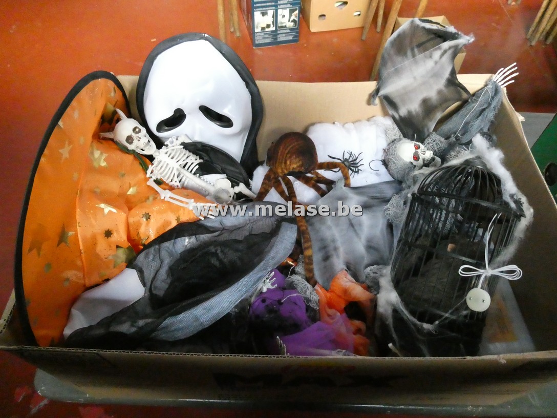 Decoratievaria "Halloween"