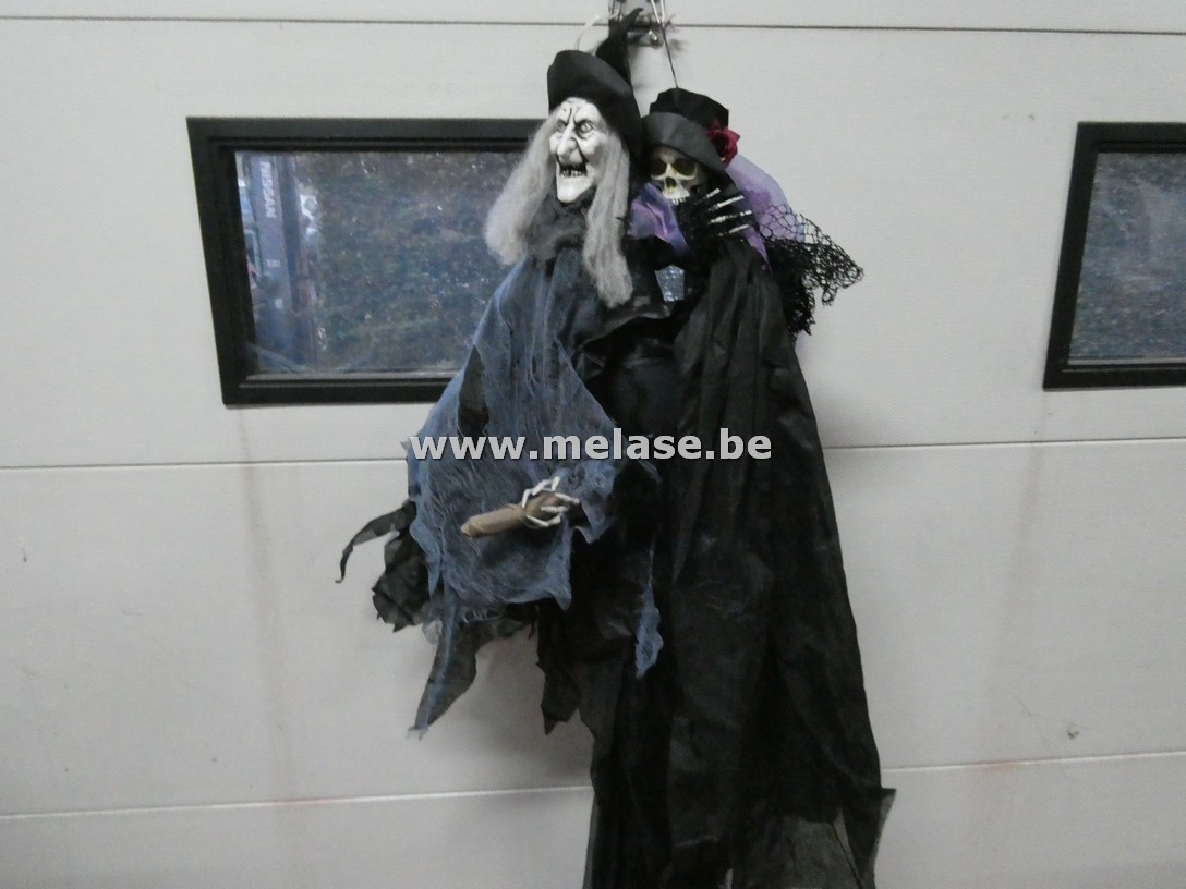 Decoratievaria "Halloween - heksen"