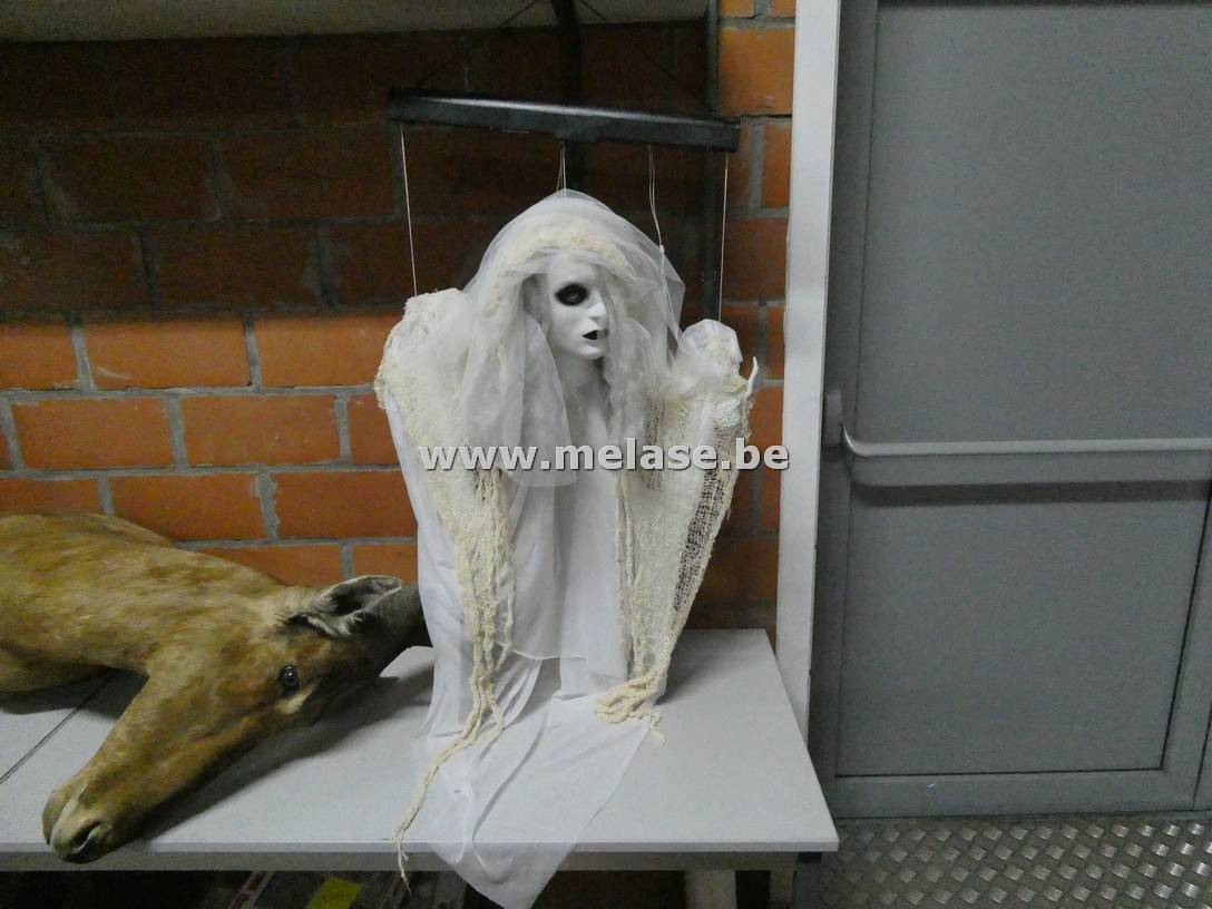 Decoratievaria "Halloween - witte dame"