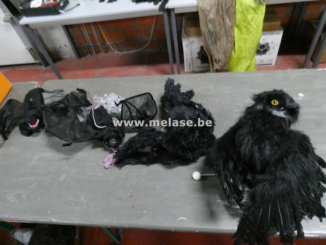 Decoratievaria "Halloween"
