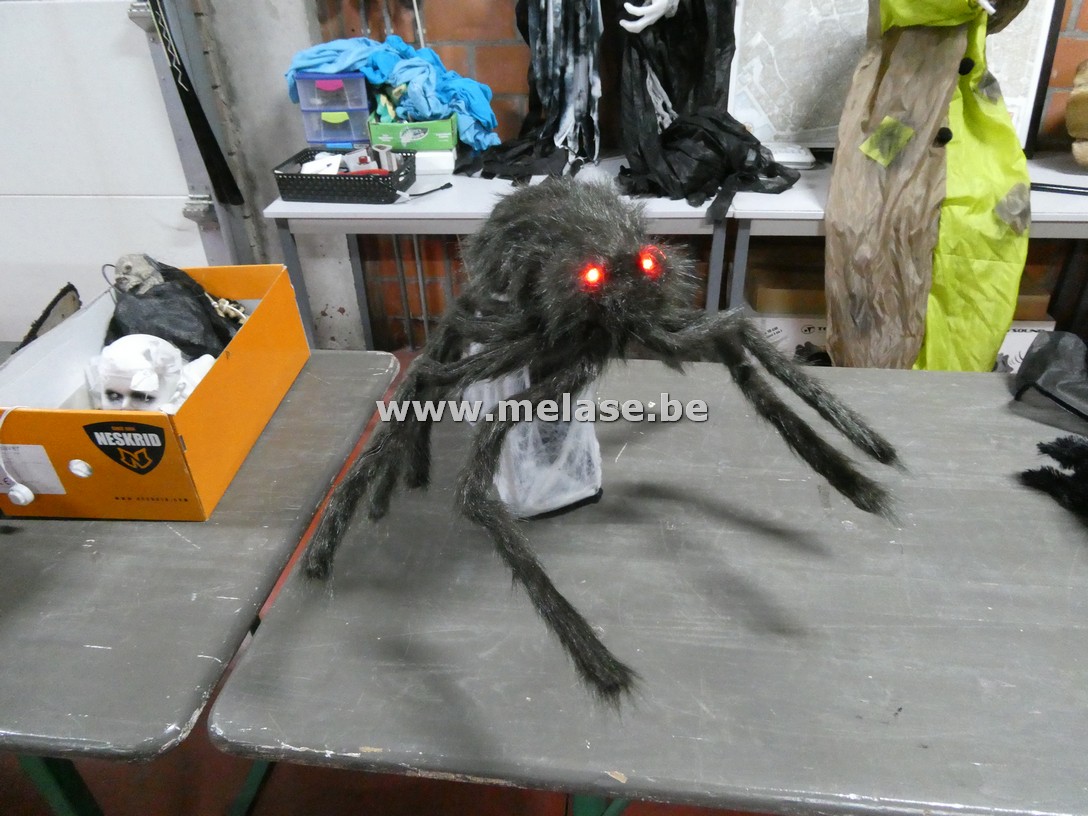 Decoratievaria "Halloween - spin"