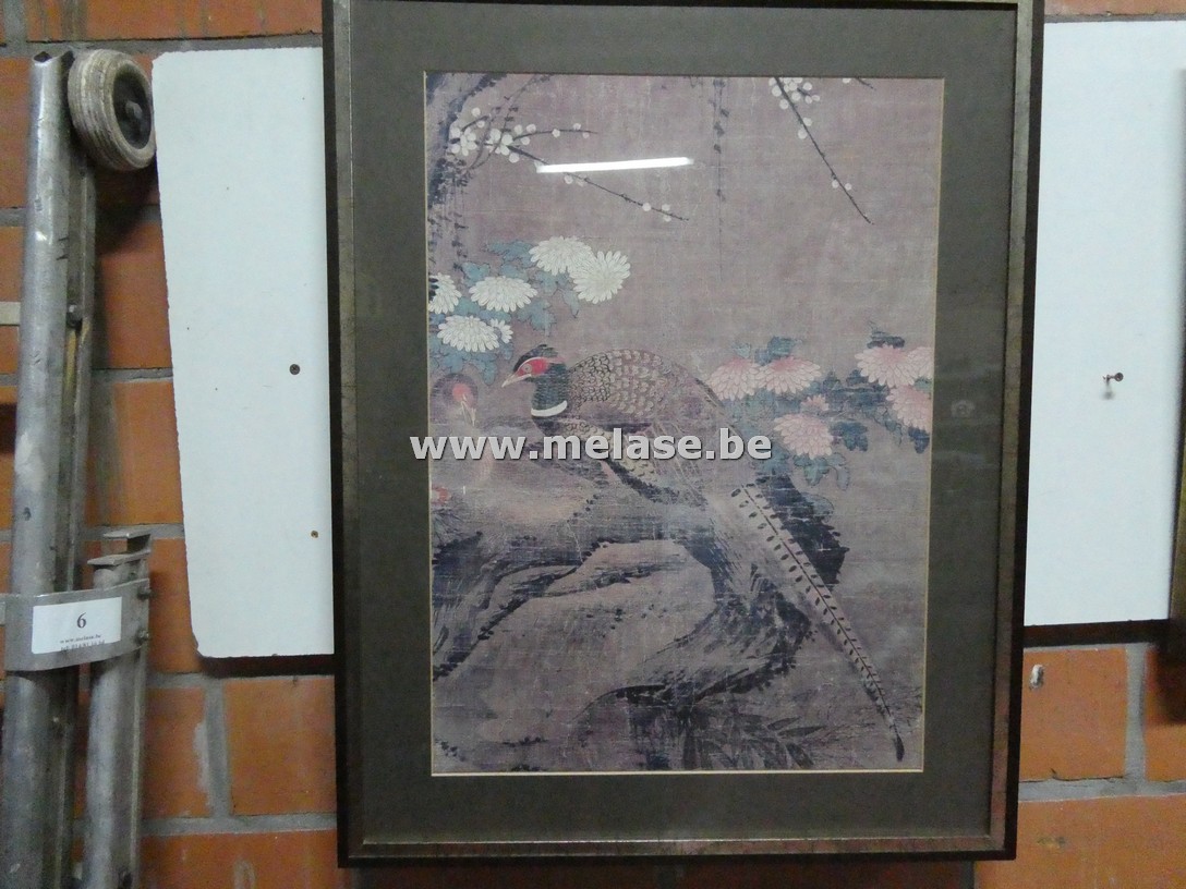 Afbeelding op doek "Fazant"