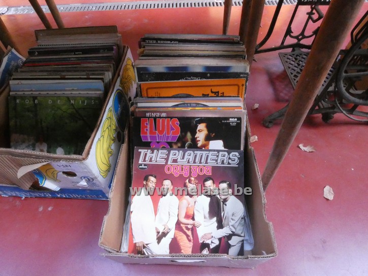 LP's 