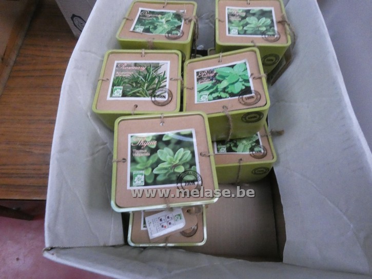 Potjes met kruidenzaden 