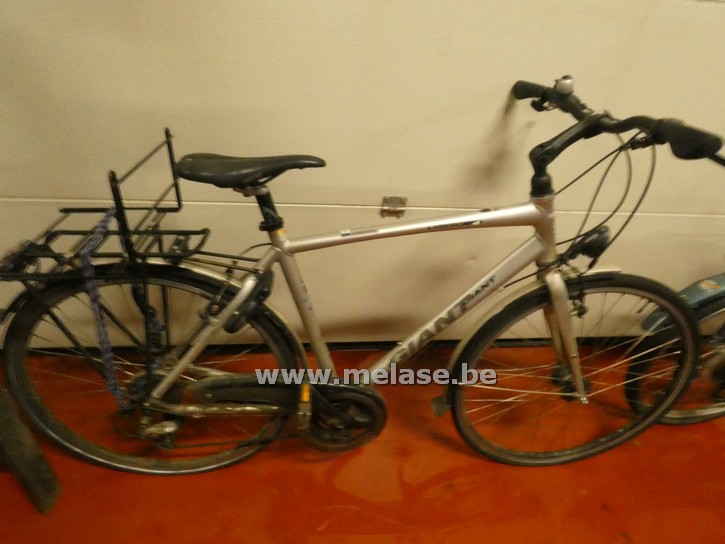 Jongensfiets "Giant - grijs"
