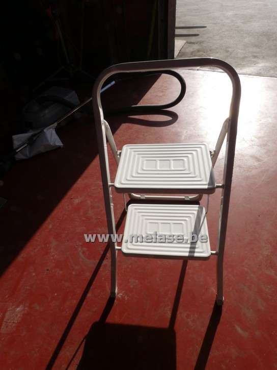 Trapladder