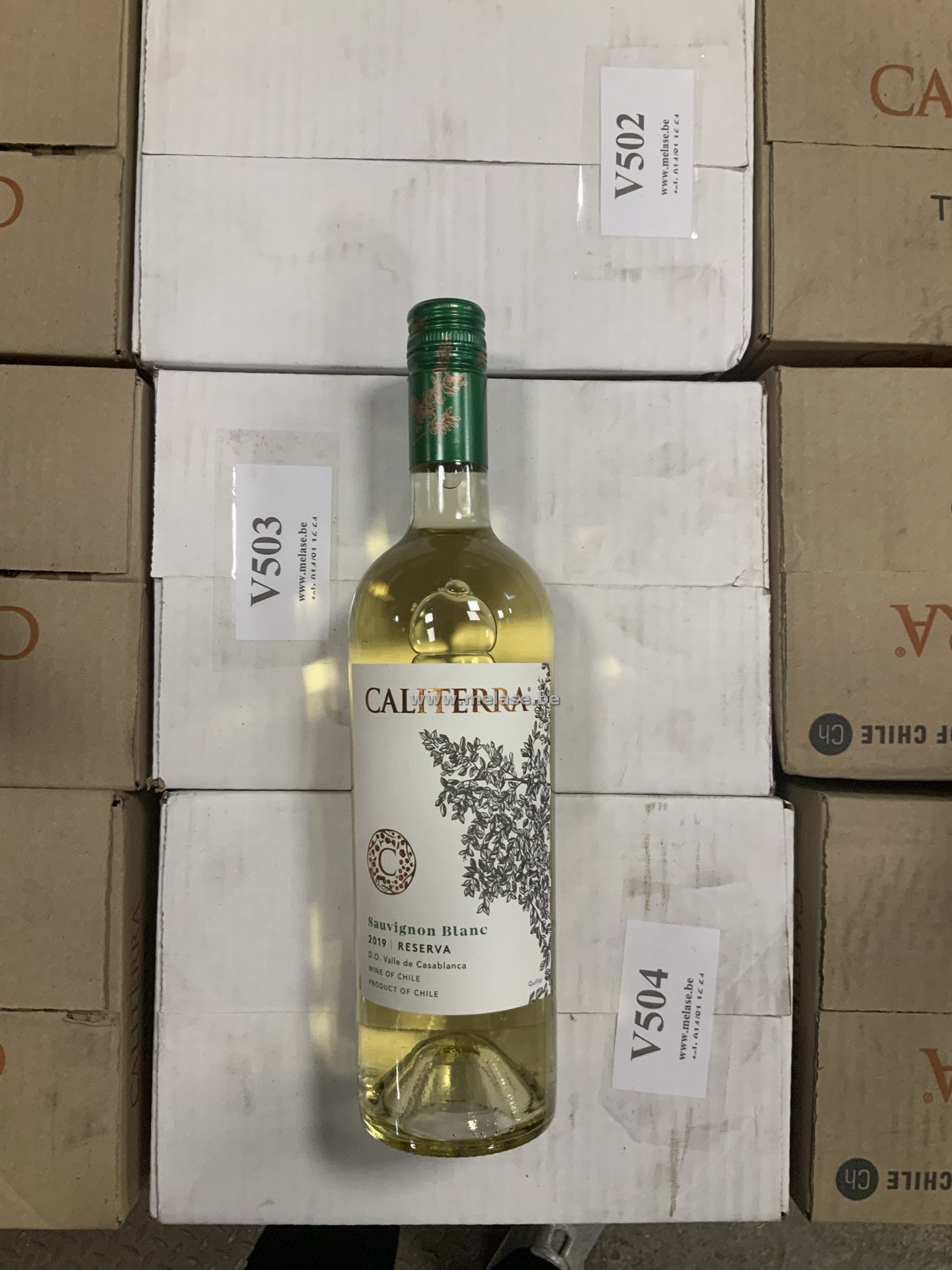 Witte wijn "Caliterra Reserva"