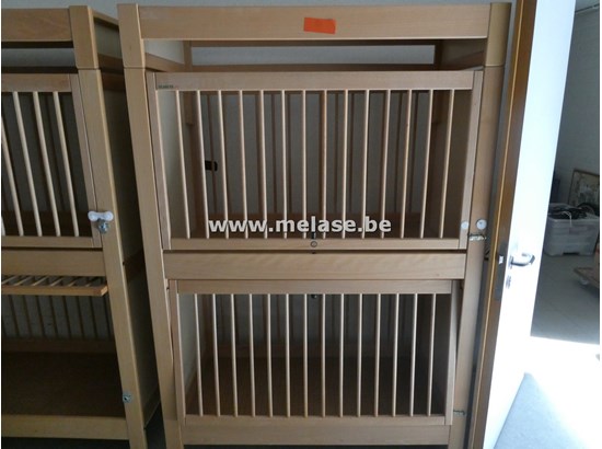 website promo 35